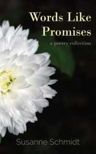 Words Like Promises E Book Cover